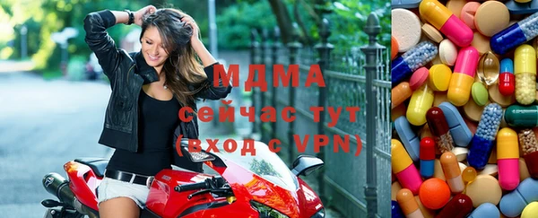 стаф Алексин