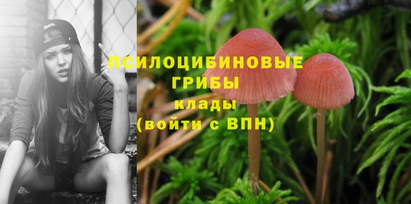 ешки Нефтегорск