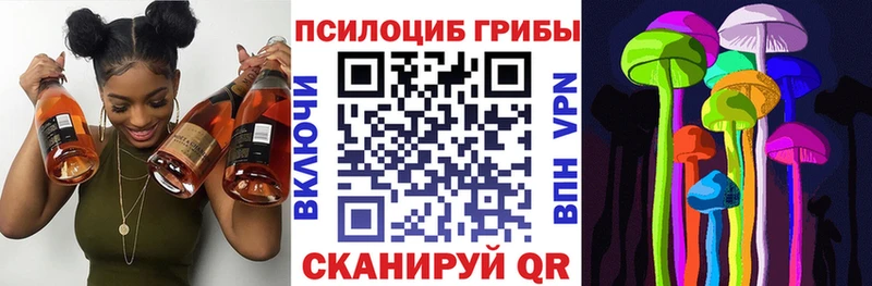 Псилоцибиновые грибы Psilocybine cubensis  Оленегорск 